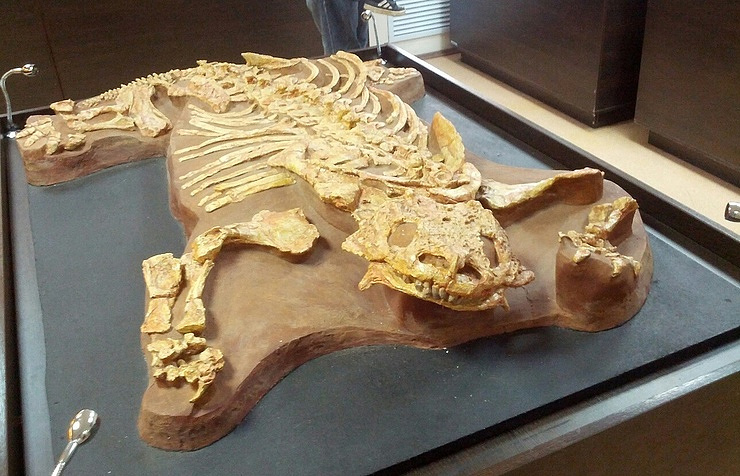 © Maria Shevchenko/TASS