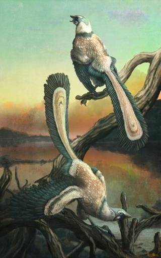 Archaeopteryx, the first feathered dinosaur. Photo: Mark Witton  