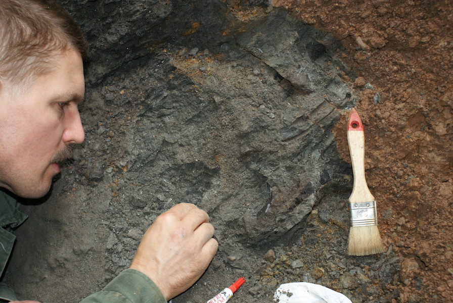 photo by Gábor Botfalvai/ELTE Faculty of Science