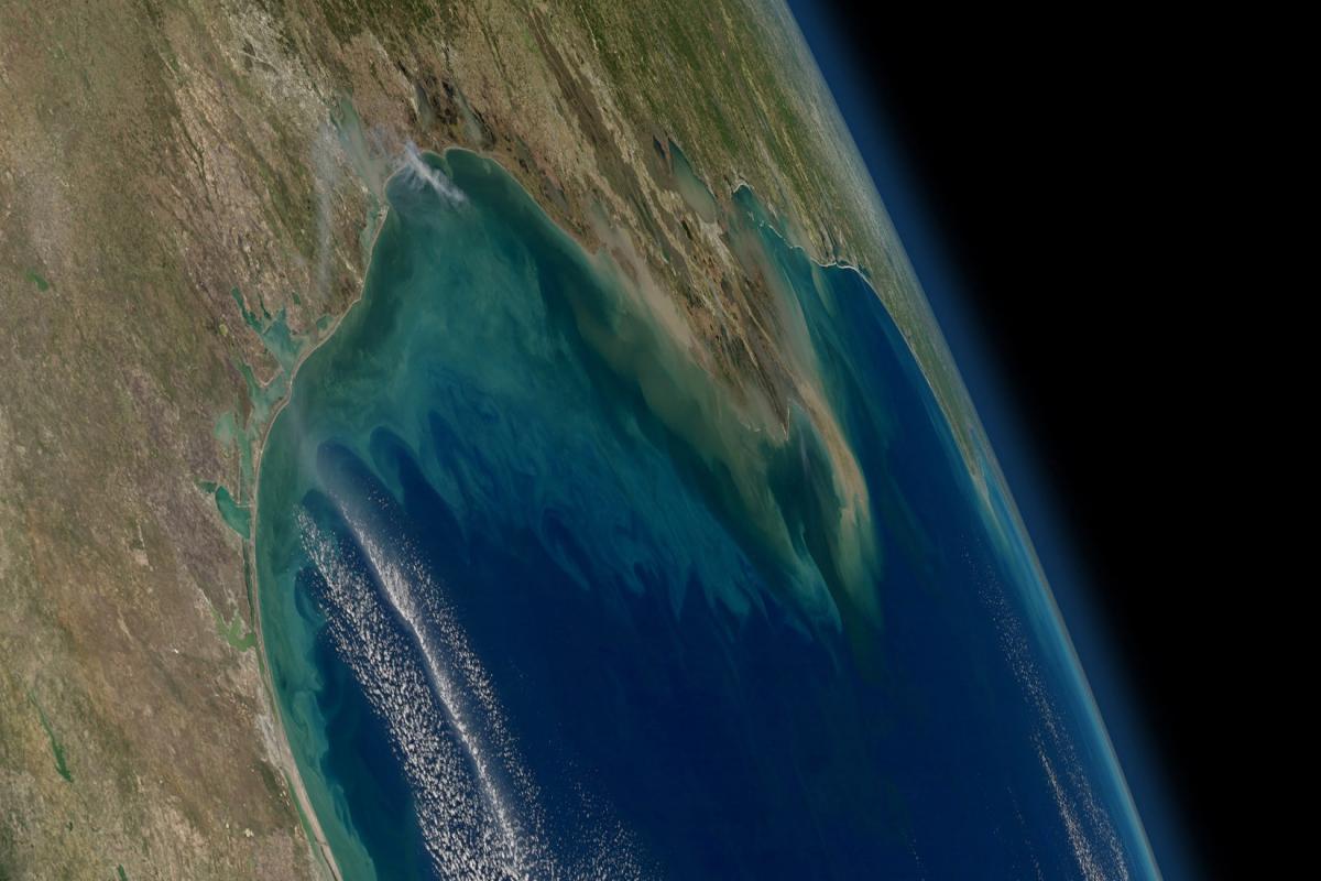 Oxygen-depleted “dead zones” often form in the northern Gulf of Mexico due to nutrient-rich runoff from the Mississippi and Atchafalaya rivers, which are seen here as tan and greenish-brown plumes visible from the International Space Station in 2012. Nutrient-rich volcanic ash may have fed similar dead zones that produced shale oil and gas fields from Texas to Montana. Credit: NASA/GSFC/Aqua MODIS