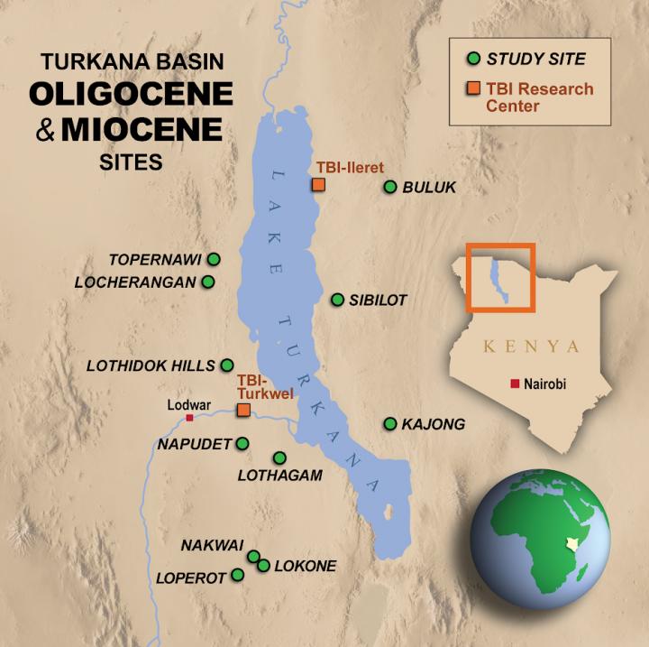 Map of the Turkana Basin Oligocene and Miocene sites.  CREDIT: Turkana Basin Institute