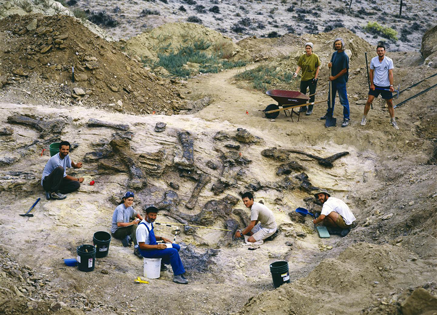 (here a team from the Aathal dinosaur museum in Wyoming, co-author Hans-Jakob Siber front center) often belong to different animals.  CREDIT (c) Sauriermuseum Aathal