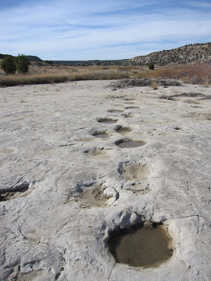 Dinosaur tracks in Comanche National Grasslands. Photo credit: cm195902