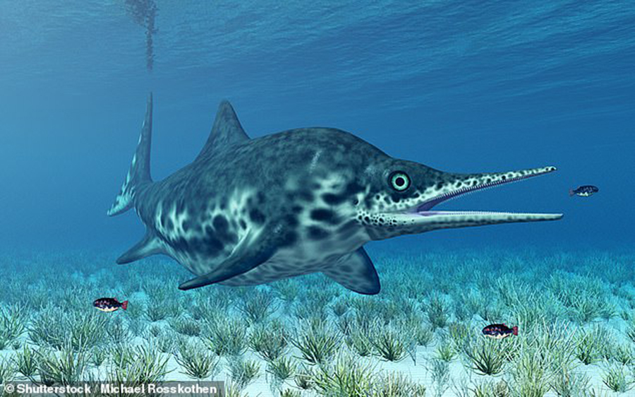 An artist's impression of a ichthyosaur reptile as it existed during the Jurassic period, 251 million to 145.5 million years ago