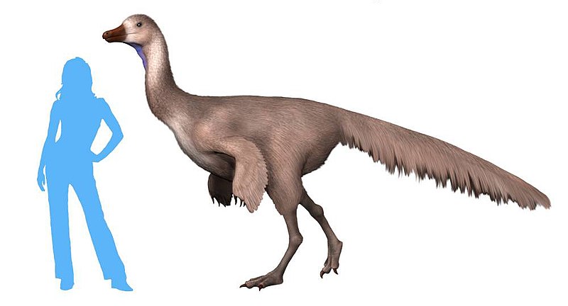 Life restoration of Arkansaurus fridayi 
