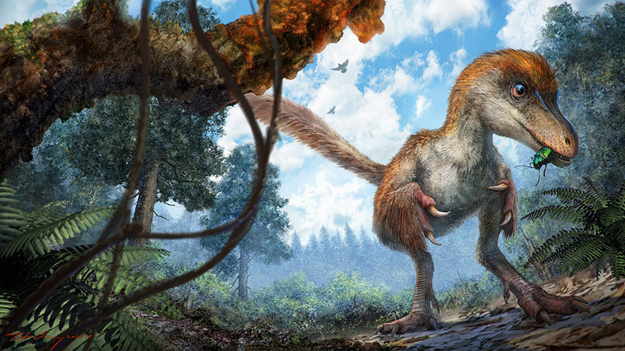 A small coelurosaur, shown here in this artist’s representation, approaching a resin-coated branch. CHUNG-TAT CHEUNG