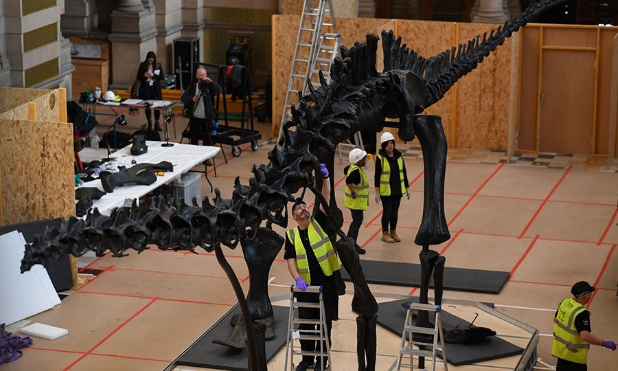  A team of specialists piece Dippy back together in Glasgow. Photograph: Jeff J Mitchell/Getty Images