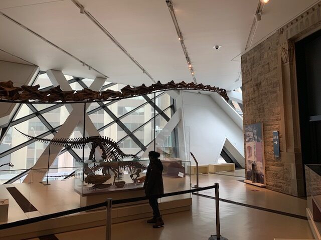 A visitor is dwarfed by Gordo 