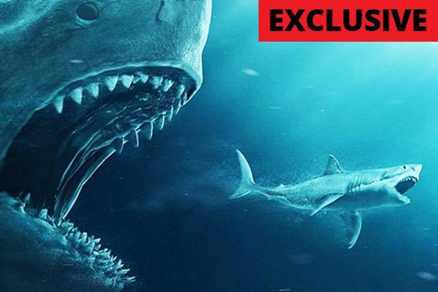 APEX PREDATOR: Nothing was off-limits for the 18m megalodon (Pic: DS)