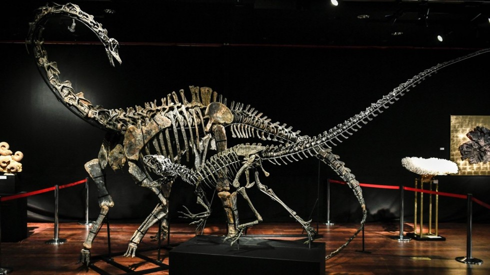 Agence France-Presse