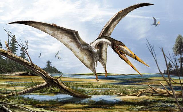 An artists impression of Alanqa saharica, the newly identified pterosaur which lived 95 million years ago in the Kem Kem region of the Sahara on the border of present day Morocco and Algeria - Artist’s impression by Davide Bonadonna