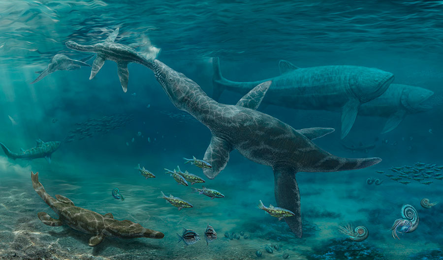 An artistic reconstruction of the Oxford Clay Formation, depicting a Middle Jurassic ecosystem with a plesiosaur (upper left), a large predatory pliosaurid (center), a metriorhynchid crocodyliform (bottom left) and the giant fish Leedsichthys (upper right). Image credits: Nikolay Zverkov