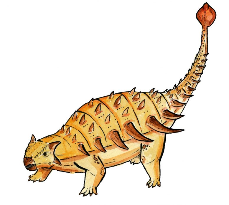 What the ankylosaur Bissektipelta archibaldi might look like. Credit: Image provided by the authors of the paper.