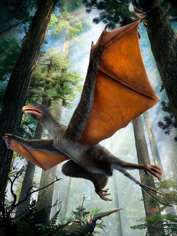 Artist’s concept of Yi qi. Image credit: Dinostar.