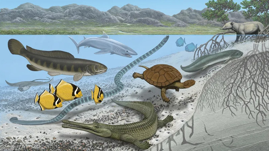 Artist’s concept of the Trans-Saharan Seaway. Illustration: Carl Buell (AMNH)