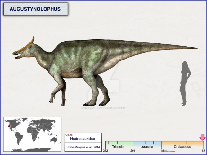 Augustynolophus by cisiopurple on DeviantArt