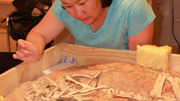 Bolortsetseg Minjin has fought to repatriate more than 30 fossils originally excavated in Mongolia. BOLORTSETSEG MINJIN 