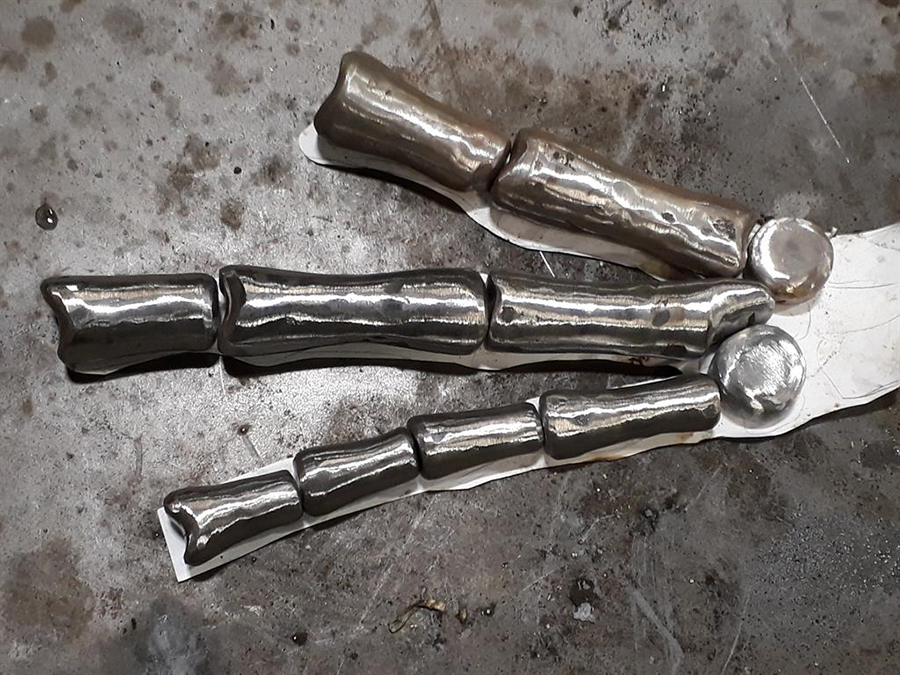 Bone idol: William wants to pursue a career in paleontology PICTURES: SWNS