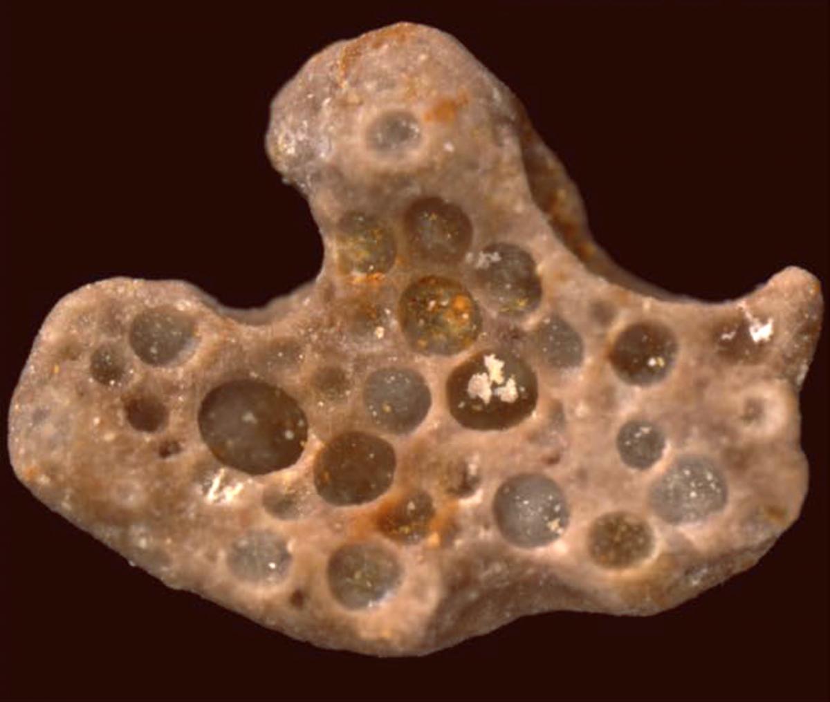 Fossilized bubbles and cyanobacterial fabric from 1.6 billion-year-old phosphatized microbial mats of the Chitrakoot Formation in central India. Image credit: Stefan Bengtson.