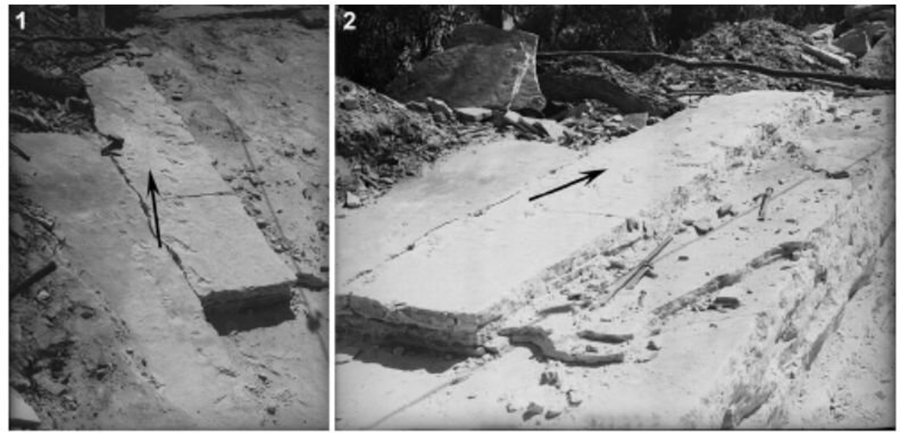 Credit: Journal of Paleontology (2020). DOI: 10.1017/jpa.2020.22