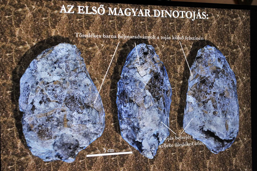 photo: Attila Kovács/MTI