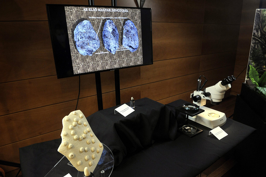 photo: Attila Kovács/MTI