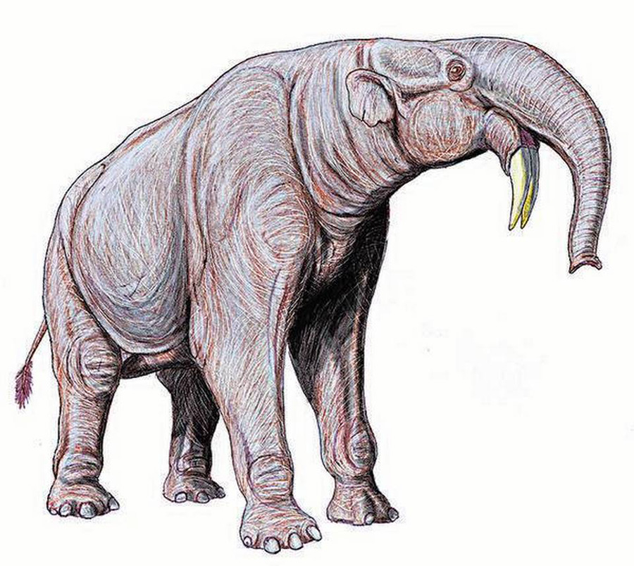 Large mammal: An artist’s impression of Deinotherium showing flatter skulls than elephants.   | Photo Credit: Wikimedia commons