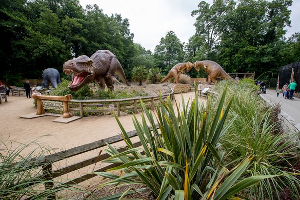 Dino Trail at Drayton Manor