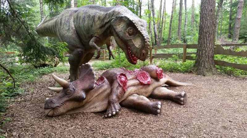 Dino park - Picture of Dinopark Munchehagen