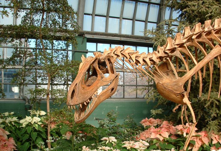 Dinosaur in the Plants – Garfield Park Conservatory