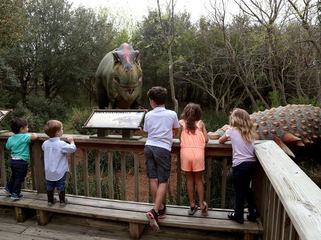 NC Aquarium Fort Fisher