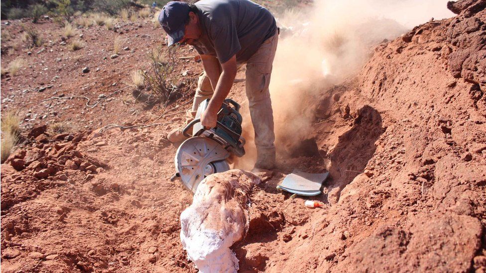  Drilling out the bones. CECILIA APALDETTI