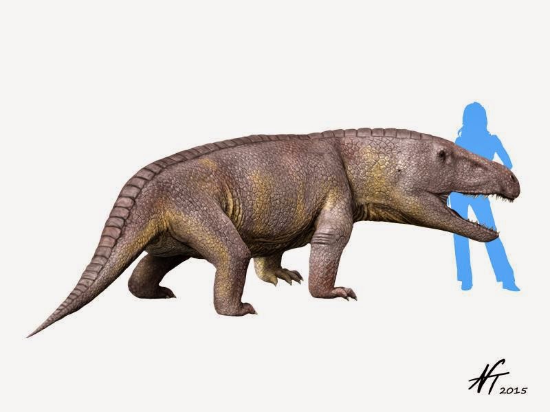Reconstruction of Erythrosuchus africanus. CZJ posing as scale. By Nobu Tamura
