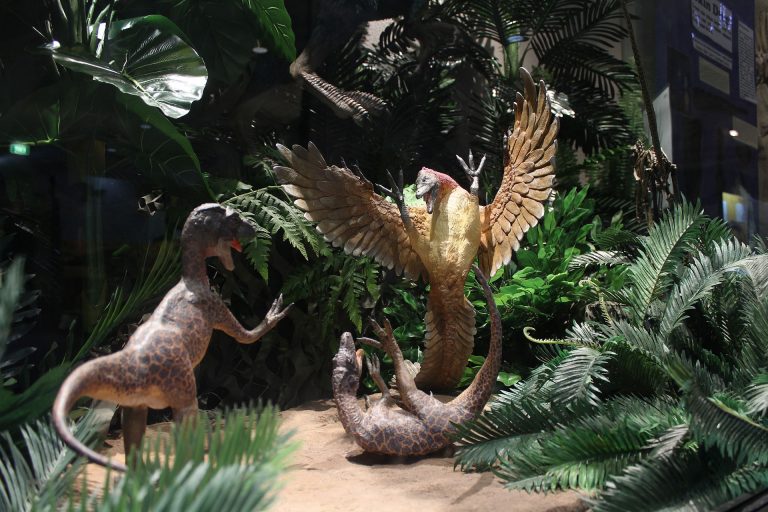 Exhibit – Archaeopteryx Diorama. Photo by NationalDinosaurMuseum