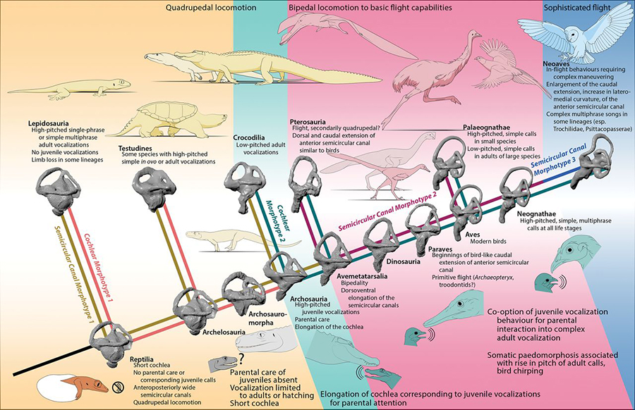 Source: ScienceMag.org