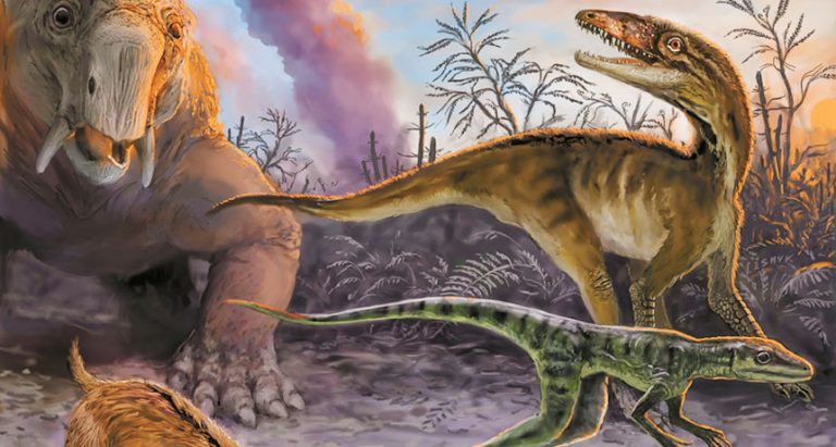 FOSSIL BED Early dinosaur ancestors like the pair on the right were thought to evolve around 10 million years before dinosaurs. But new dating of fossil layers in Argentina cuts that time in half, to about 5 million years. IMAGE COURTESY OF VICTOR LESHYK