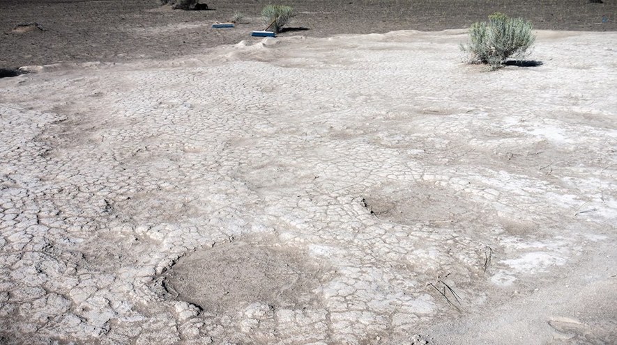 Fossilized mammoth trackway at Fossil Lake, July 20, 2017. Photo from Greg Shine, Bureau of Land Management, Oregon.