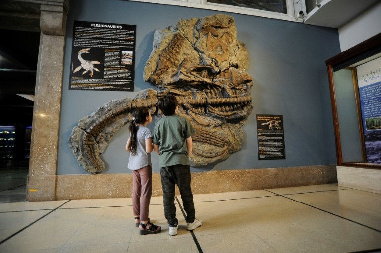 Four tons of rocks had to be removed to unearth the fossil remains, found just 500 meters (1,640 feet) from an international airport