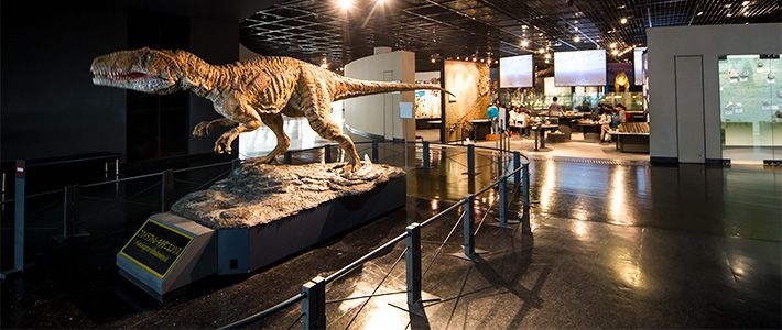 Giants Roam Fukui at Prefectural Dinosaur Museum