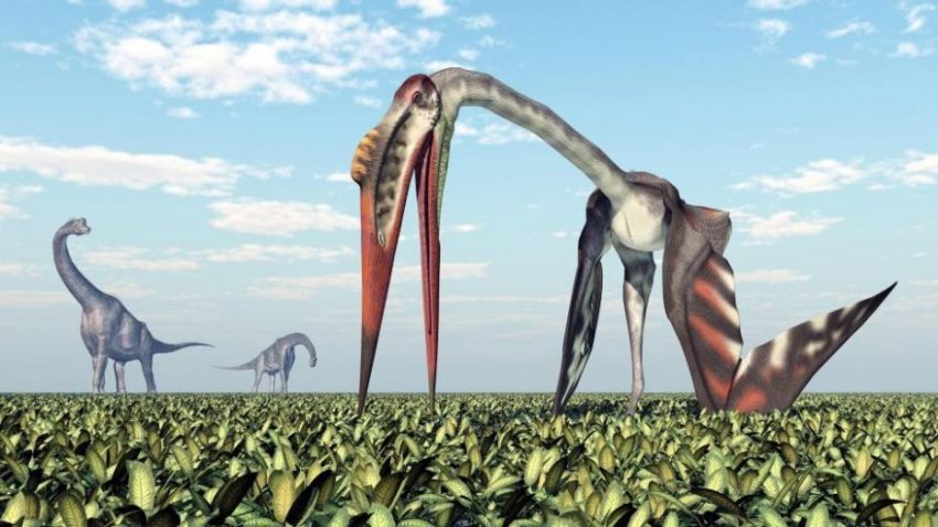 Gigantic Dinosaur-Eating Plane-Size Reptile Discovered in Mongolia