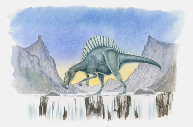 Illustration of a Spinosaurus catching fish in a river. Thinkstock