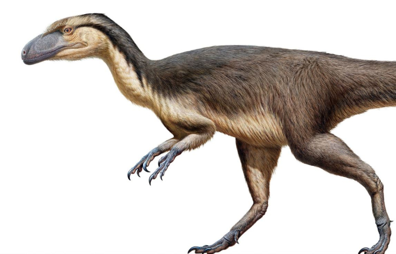 Image Source: Brandon Marshall/Shutterstock