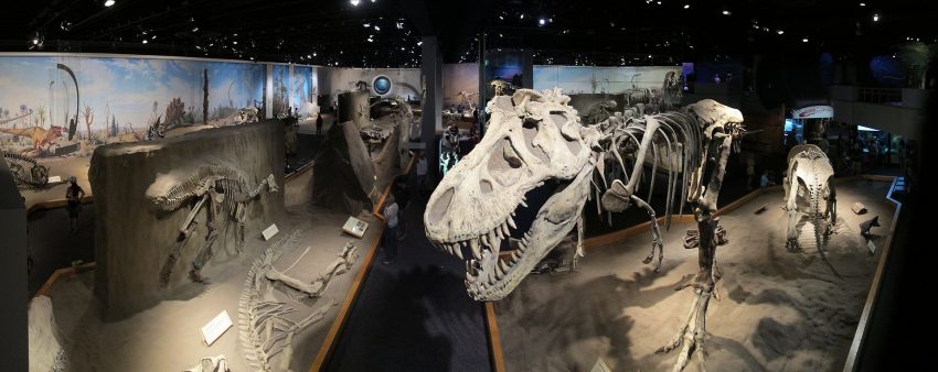 Inside the largest display area. Photo by Steven Mackaay