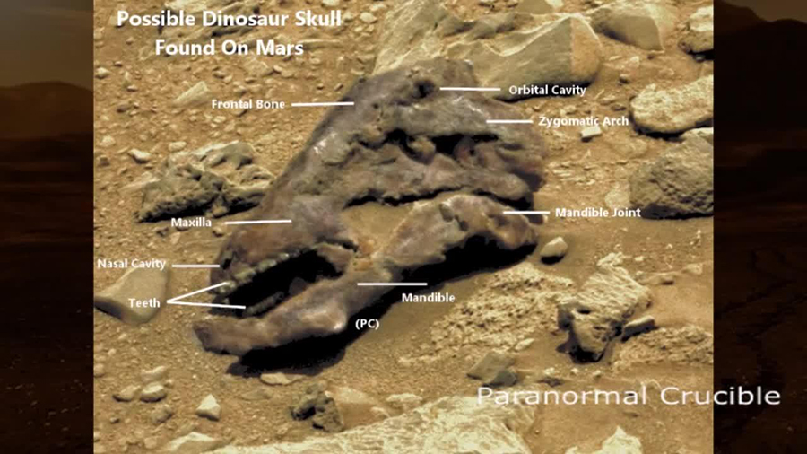 The video maker has pointed out what he says are skull parts on the Martian "rock". NASA*PARANORMALCRUCIBLE*YouTube  