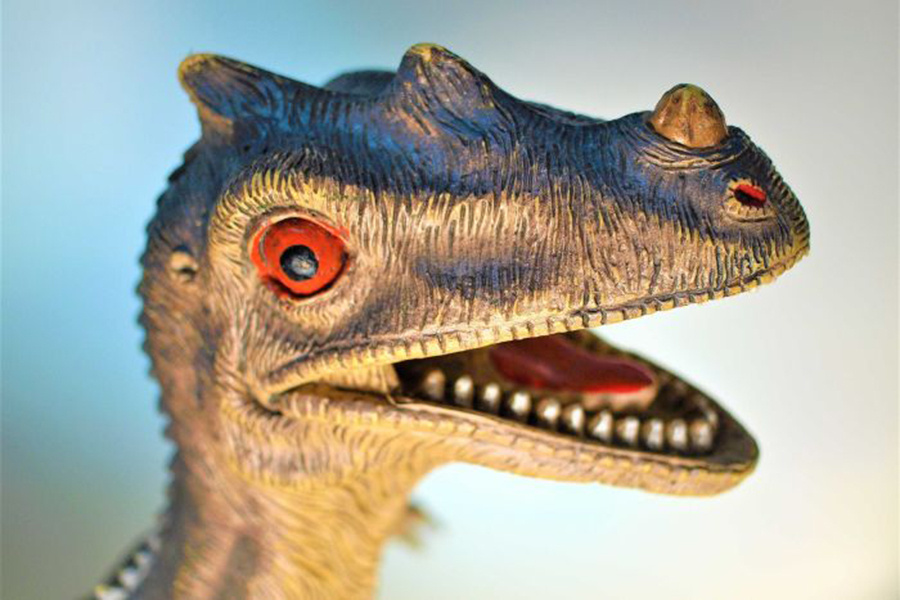 You might need to ask your kids the name of this dinosaur. (Unsplash: Umanoide)