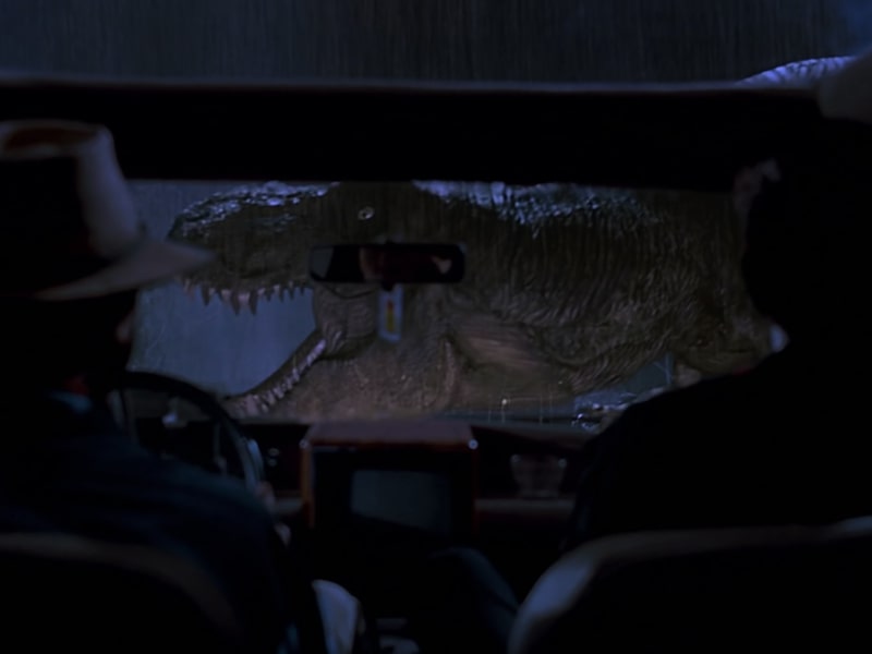 Pictured: a very angry and very hungry baby elephant.