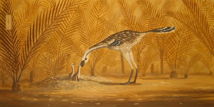 Kakuru by paleoartist dc4a