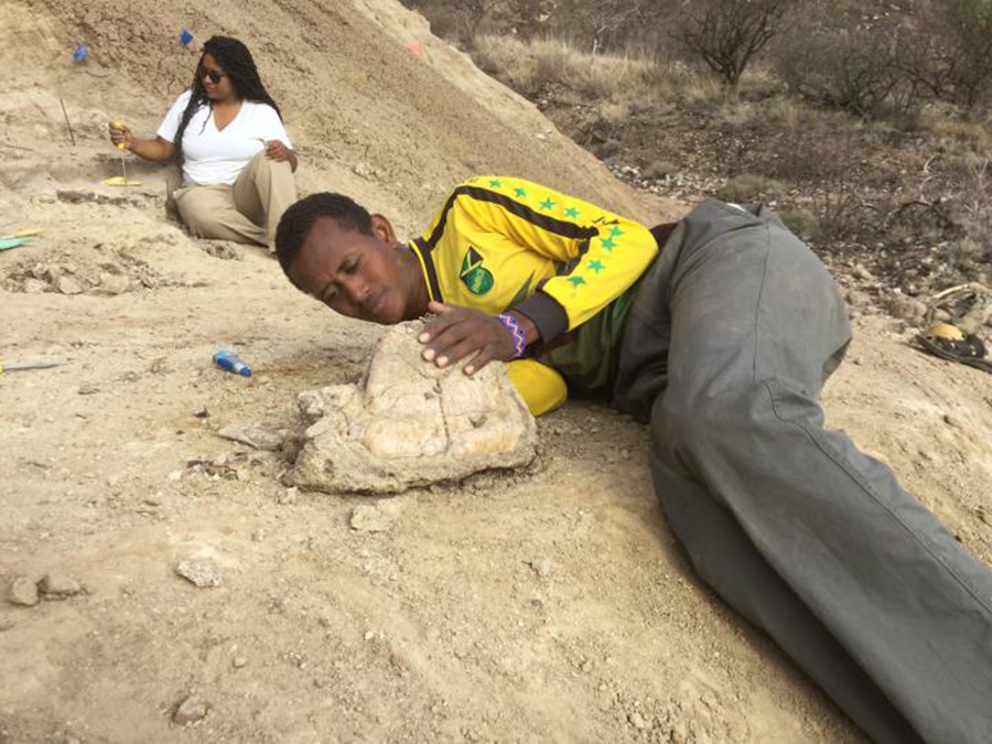 Kenyan field technicians at work in the Buluk bonebed excavation area in the Turkana Basin.  CREDIT: Isaiah Nengo
