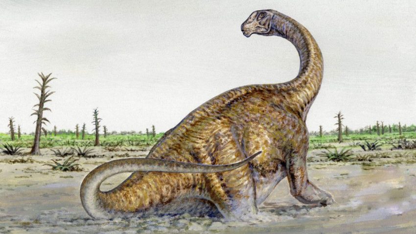 Long-Necked Spanish Dinosaurs Emigrated to the U.S. to Avoid Extinction