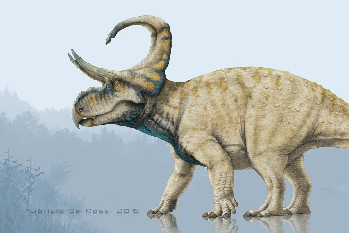 Machairoceratops cronusi by Fabrizio De Rossi, 2016